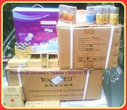  поступила новая партия продукции  кордицепс и др. Скидки и акции!
